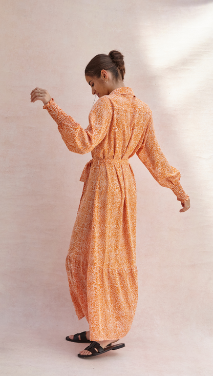 Alina Shirt Dress - Auburn Print