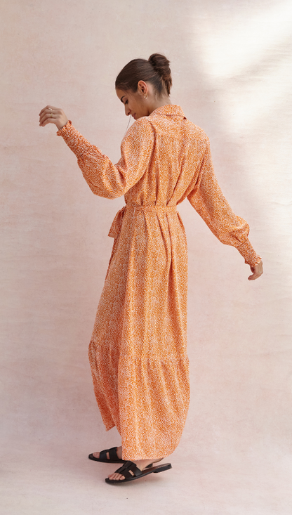 Alina Shirt Dress - Auburn Print